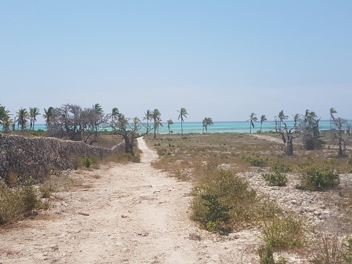 Nyumba Ya Afrika Bed & Breakfast Watamu Exterior foto